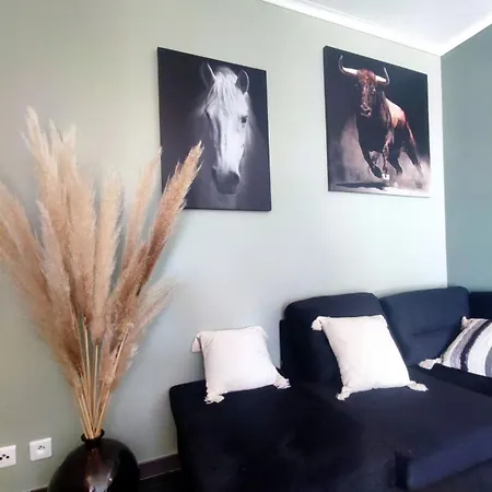 Les Olivettes Tatil Evi