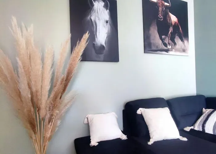 Les Olivettes 別荘