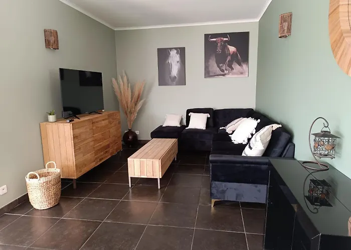 Les Olivettes 別荘 Meynes