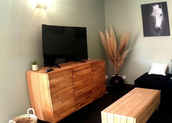 Les Olivettes 別荘